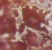 Cave Creek Red Jasper